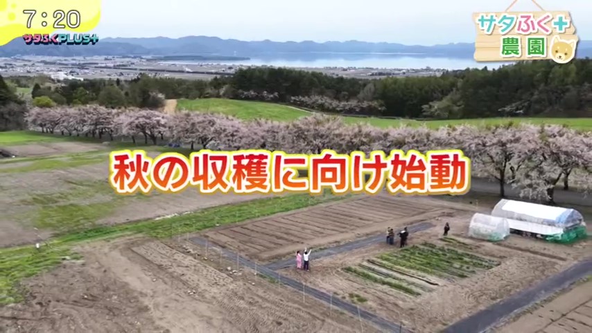 A new segment filmed at the farm managed by our company was broadcast on Fukushima TV's Satafuku PLUS.
