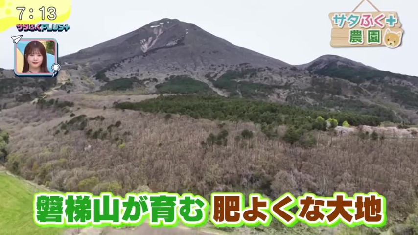 福島テレビ『サタふくプラス』にて、当社が管理している農場での「サタ