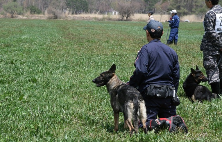Fukushima Minyu Newspaper published an article about the “Police Dog Training Competition” held at the Town-Operated Bandaisan Pasture.