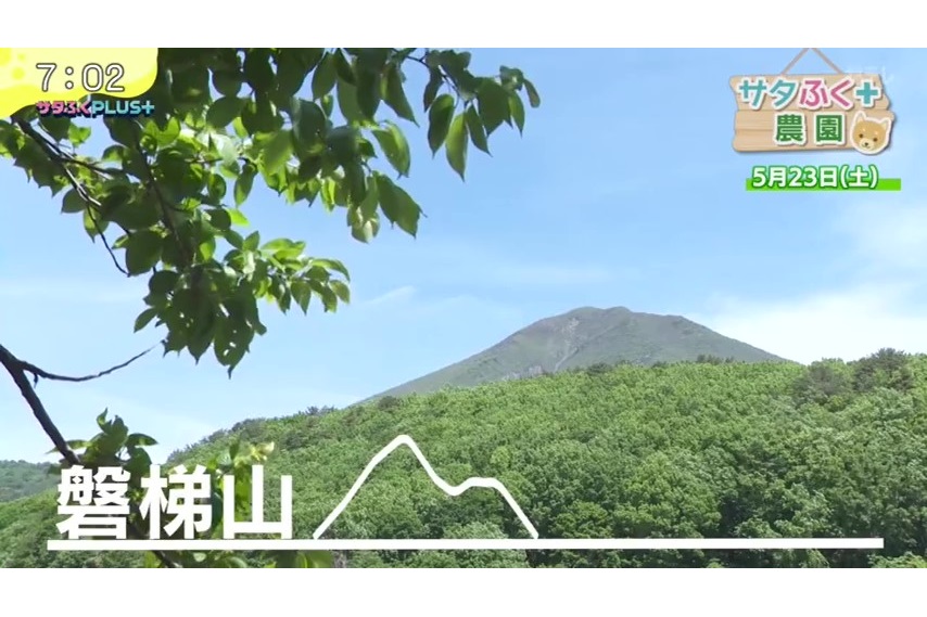 福島テレビ『サタふくプラス』にて、当社が管理している農場での「サタふく+農園」企画が放送されました。