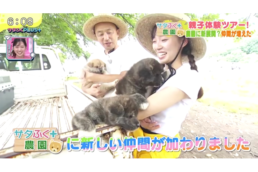 福島テレビ『サタふくプラス』にて、当社が管理している農場での「サタふく+農園」企画が放送されました。